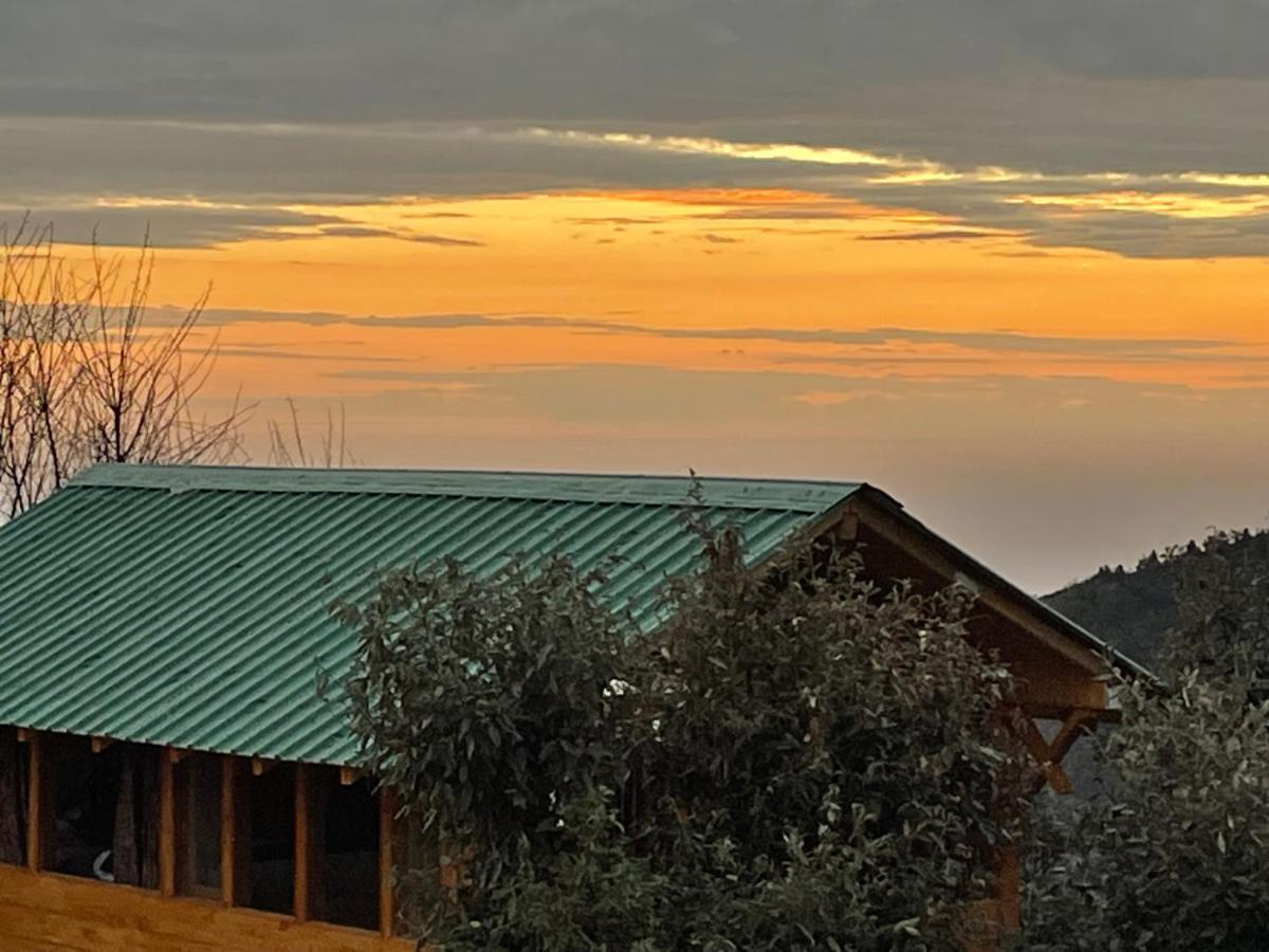 Bagar Trails Hotell Nainital Exteriör bild